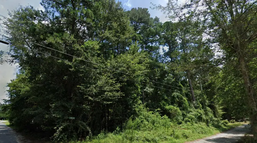 0 Off Rinelan Road, Orangeburg, SC 29115 - #3