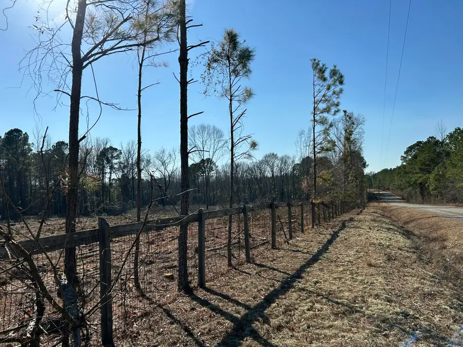 50 Acres Bridlewood Rd., Cheraw, SC 29520 - Image #3