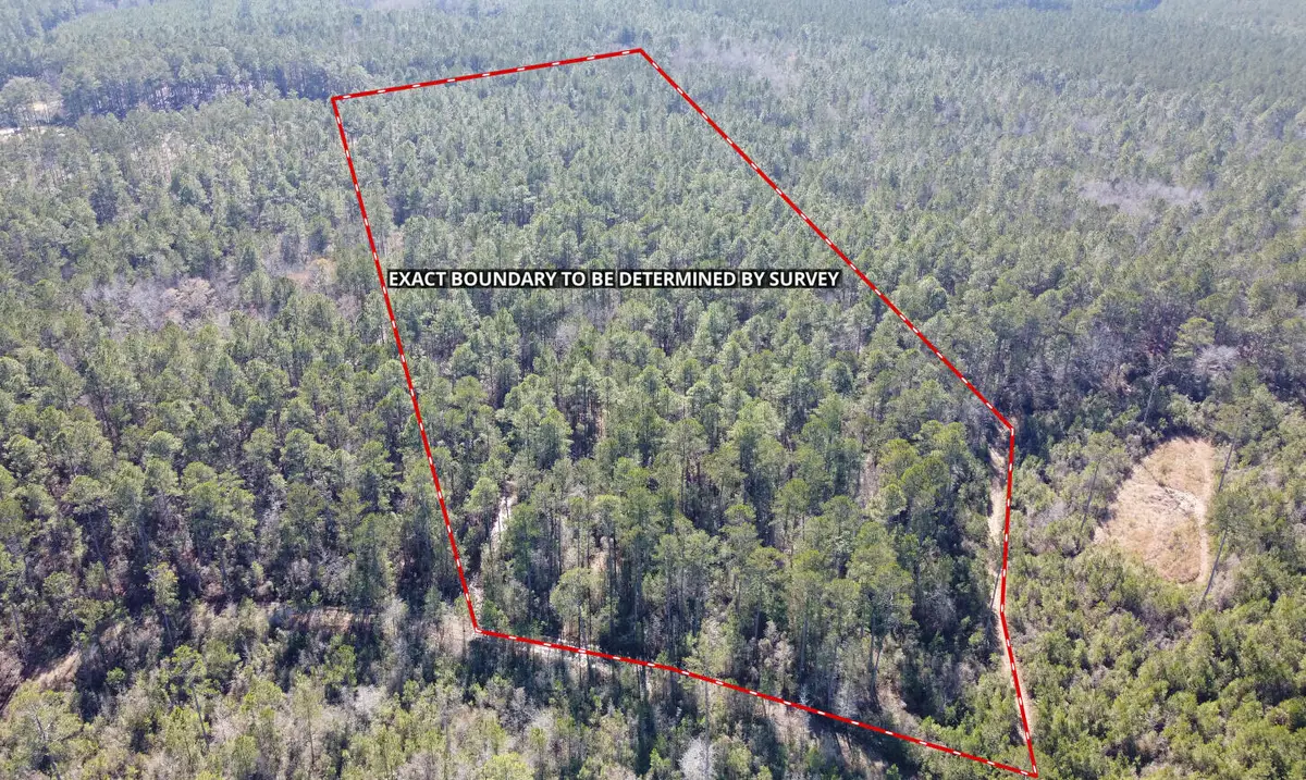 18 Rehoboth Road, Cottageville, SC 29435 - #1