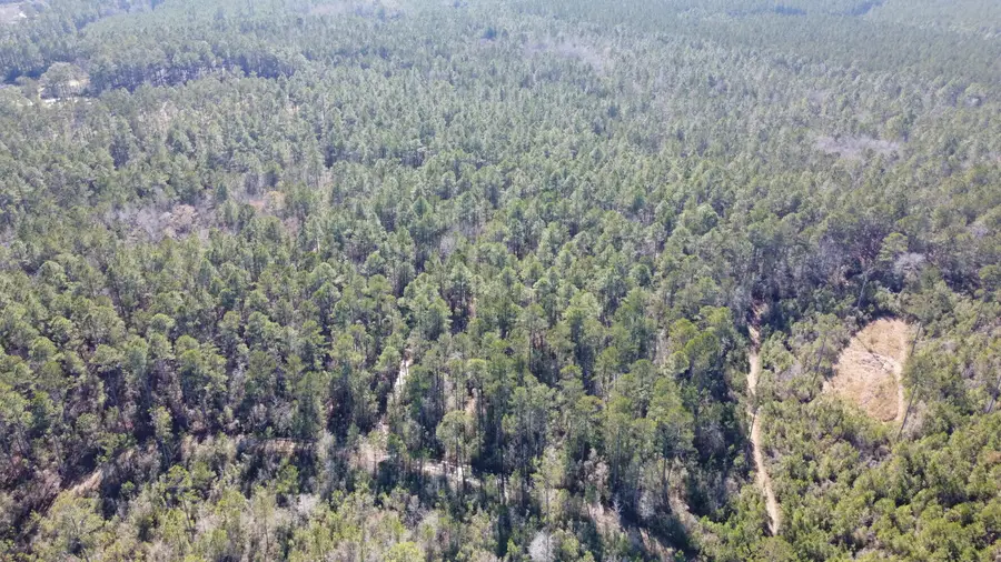 18 Rehoboth Road, Cottageville, SC 29435 - #3