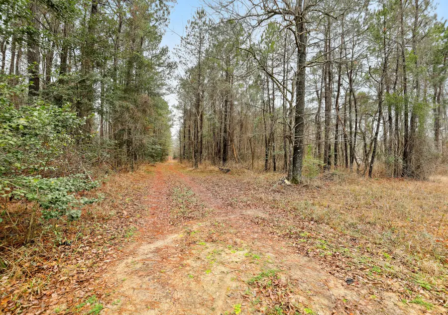 0 Santee River Road, Saint Stephen, SC 29479 - Image #2