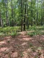0 White Sands Road, Walterboro, SC 29488 - #1