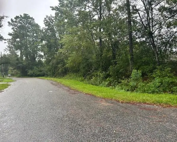 0 Old Hertz Road, North Charleston, SC 29418 - Image #1