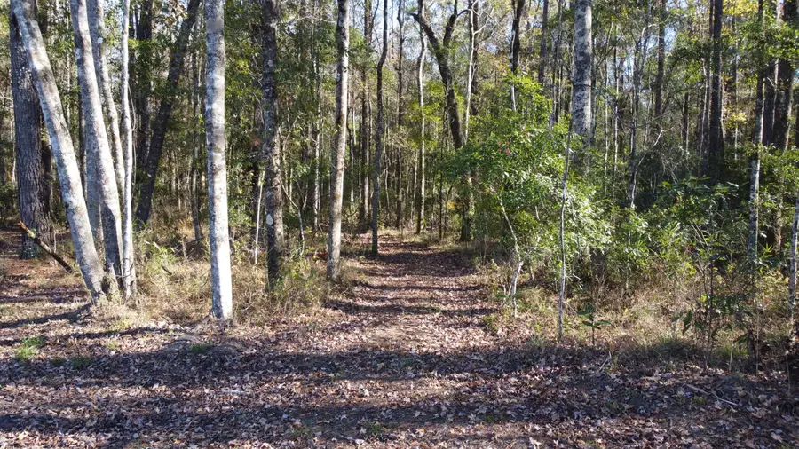 8 Fish Road, Ridgeville, SC 29472 - Image #3