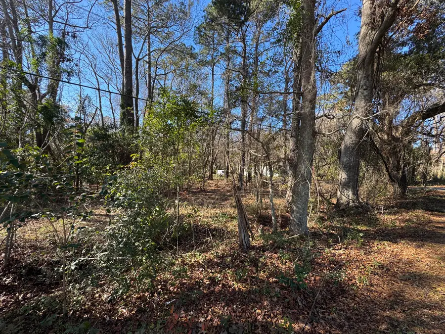 2040 River Road, Johns Island, SC 29455 - #3