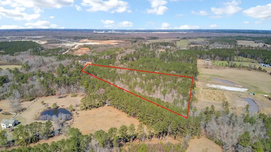 0 Hickory Nut Drive, Harleyville, SC 29448 - Image #2