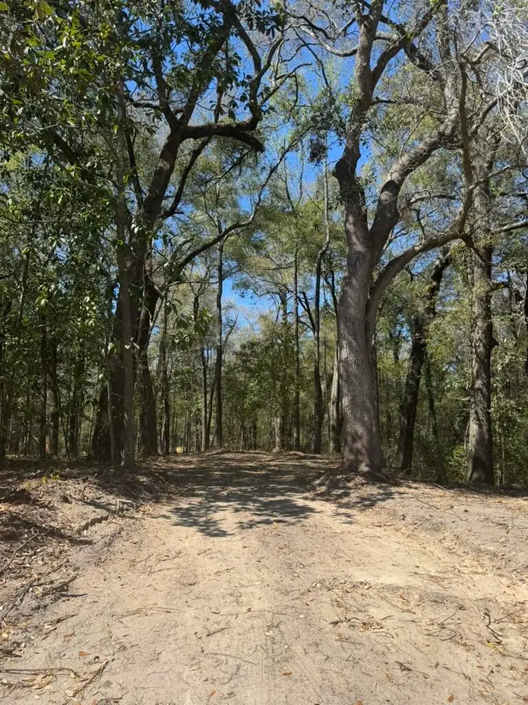 0 Klein Street, Walterboro, SC 29488 - Image #2