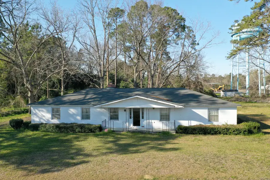 6156 Badham Drive, Reevesville, SC 29471 - Image #3