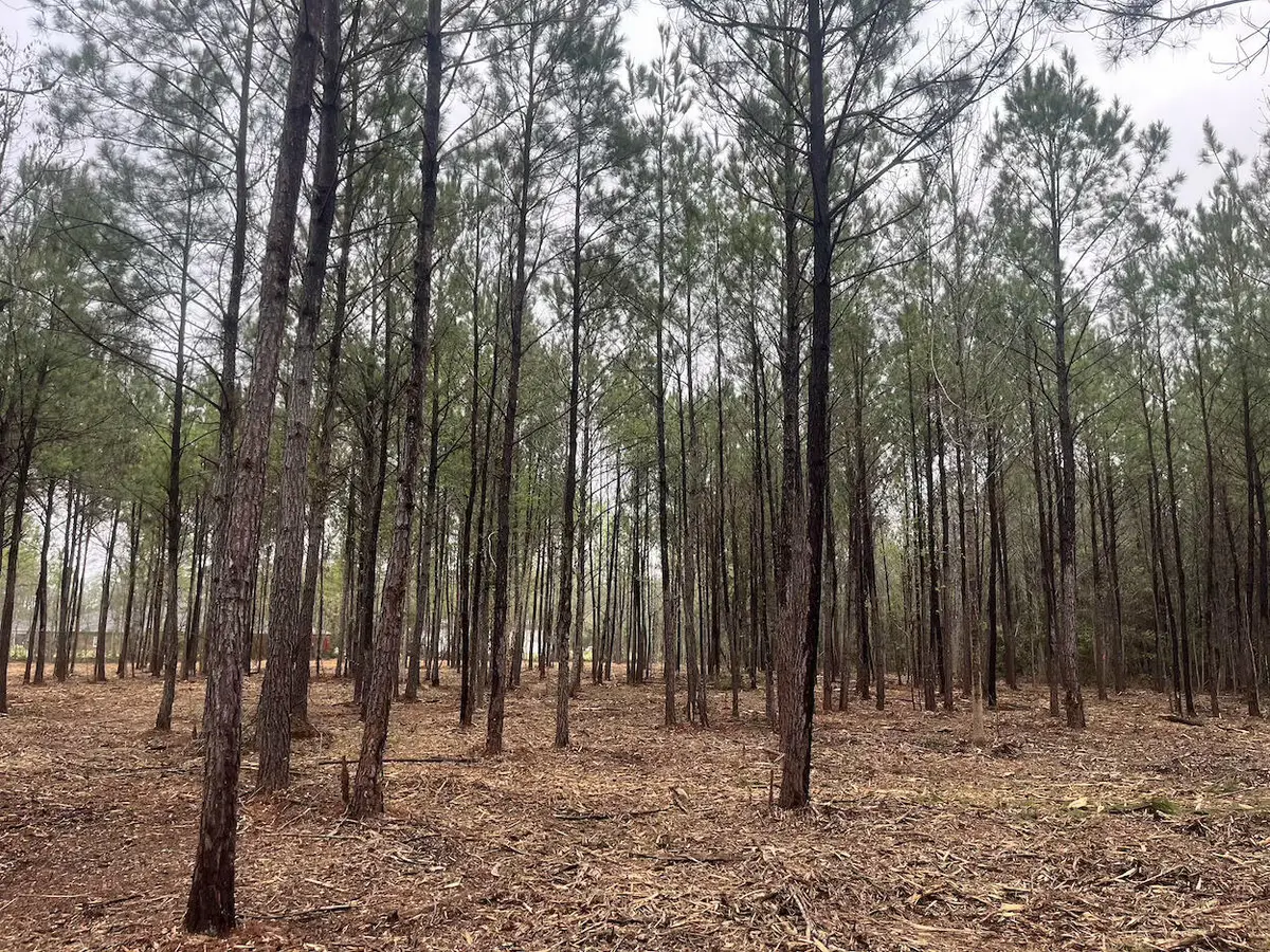 0 Praxis Court, Cottageville, SC 29435 - #1