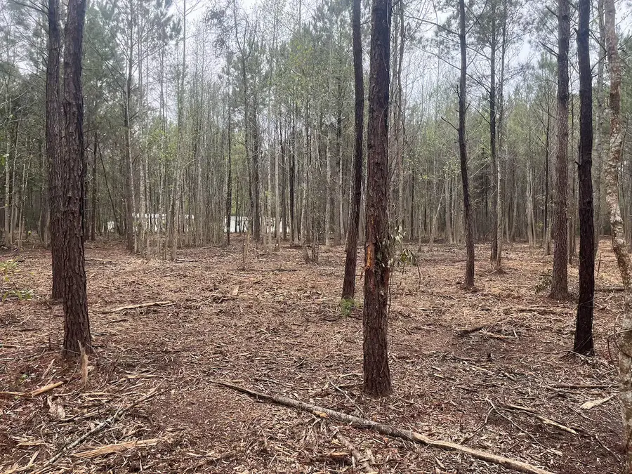 0 Praxis Court, Cottageville, SC 29435 - #2