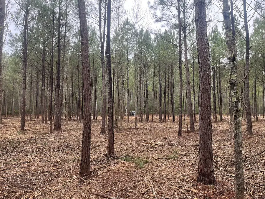 0 Praxis Court, Cottageville, SC 29435 - #3