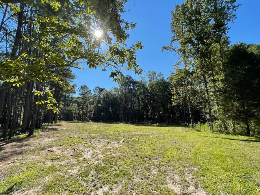 113 Gen Estates Lane, Summerville, SC 29486 - #2