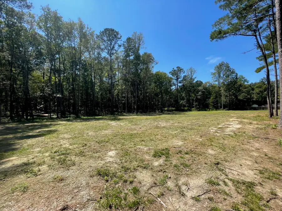 113 Gen Estates Lane, Summerville, SC 29486 - #3