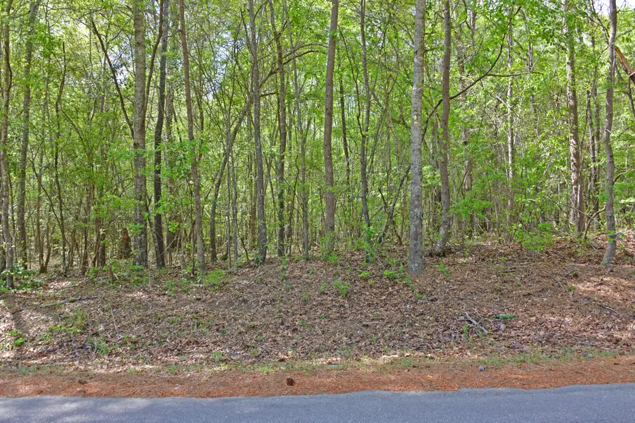 0 Ridgelake(lots 8,9,10,11) Circle, Saint Matthews, SC 29135 - Image #2