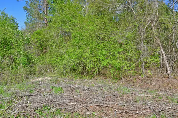 0 Ridgelake(lot 12) Circle, Saint Matthews, SC 29135