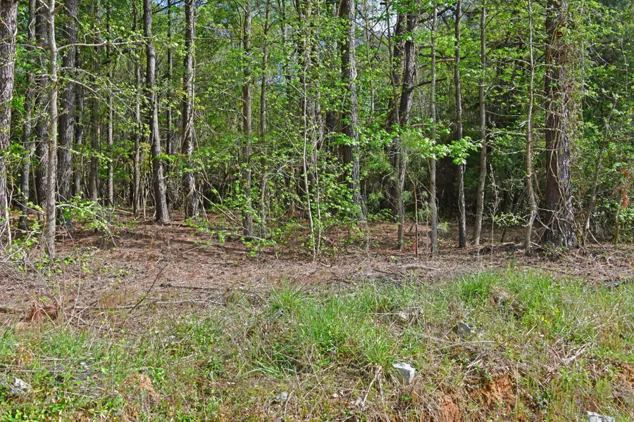 0 Ridgelake(lot 14-b) Circle, Saint Matthews, SC 29135 - Image #3