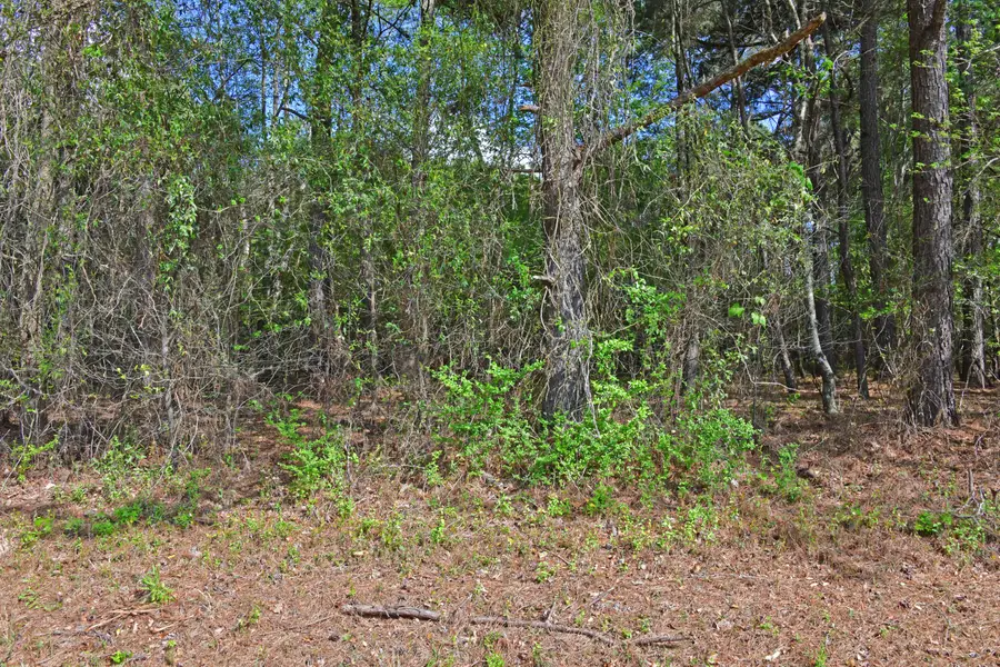 0 Ridgelake(15-a,15-b) Circle, Saint Matthews, SC 29135 - Image #3