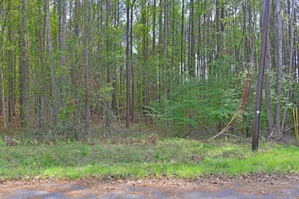 0 Ridgelake(lot 29), Saint Matthews, SC 29135