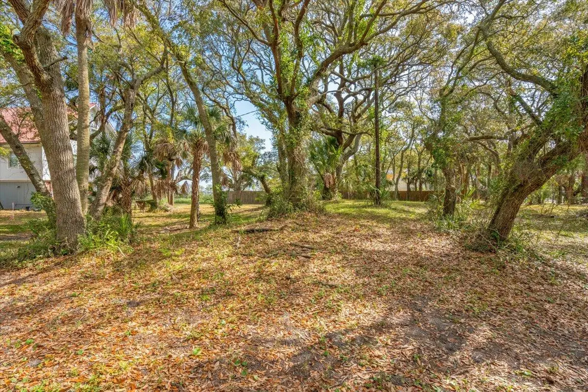 1214 B Tabby Drive, Folly Beach, SC 29439 - Image #1