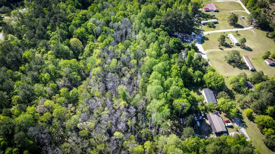 351 Dingle Lane, Saint Stephen, SC 29479 - Image #2