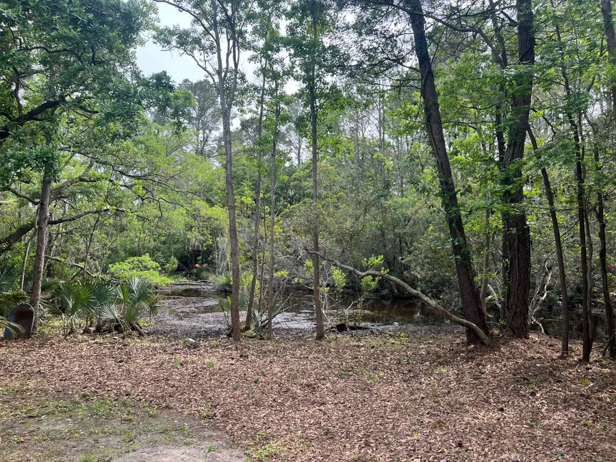 1533 Theresa Drive, Charleston, SC 29412 - Image #2