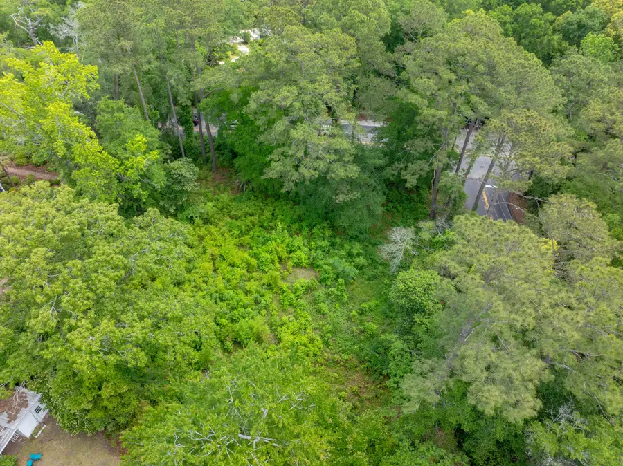 114 E Carolina Avenue, Summerville, SC 29483 - Image #3