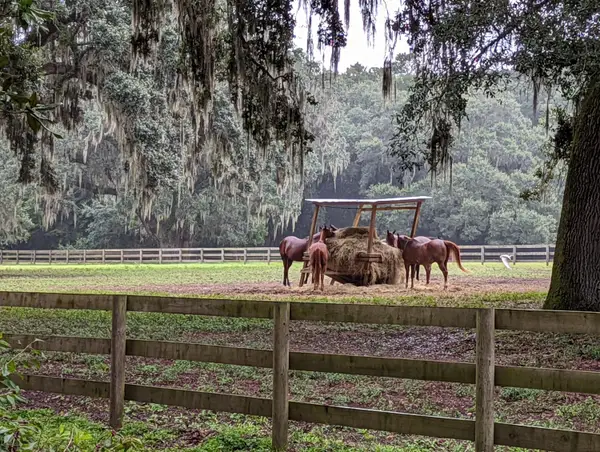 21 Middleton Oaks Road, Charleston, SC 29414