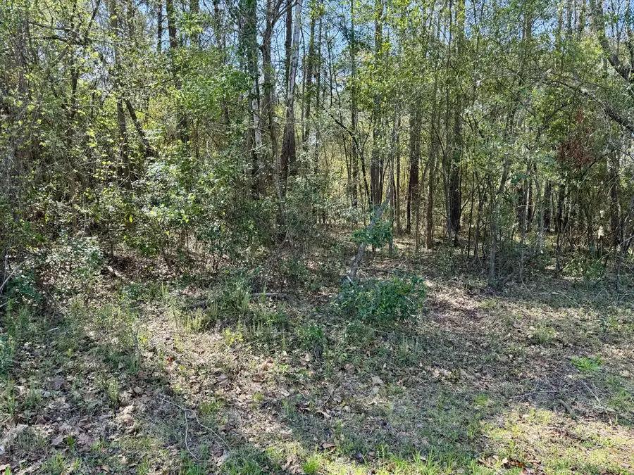 0 Washington Klein Street, Walterboro, SC 29488 - Image #3