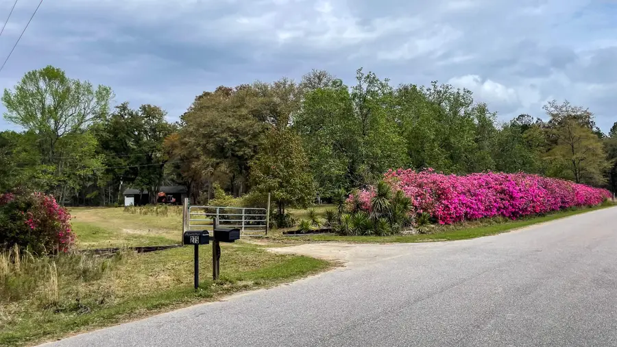 0 Norris Drive, Walterboro, SC 29488 - Image #2