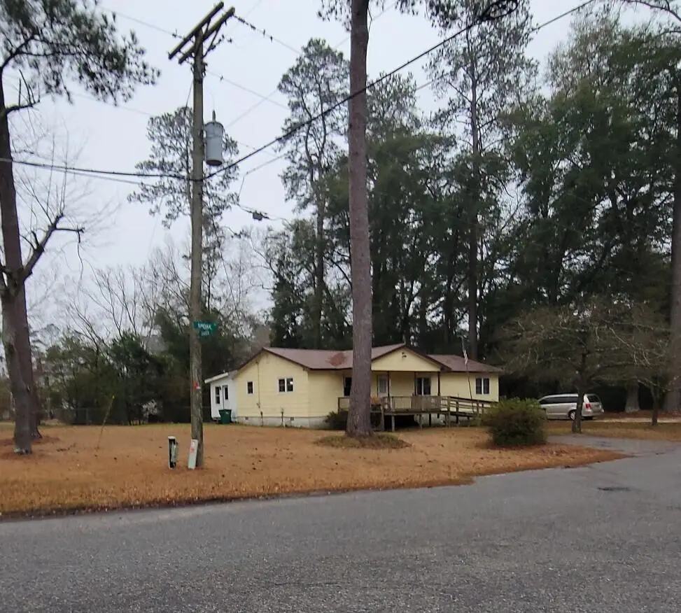 207 Smoak Street, Bamberg, SC 29003 - #1