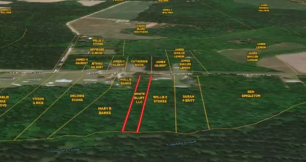 0 Maple Branch Road #Road, Reevesville, SC 29471