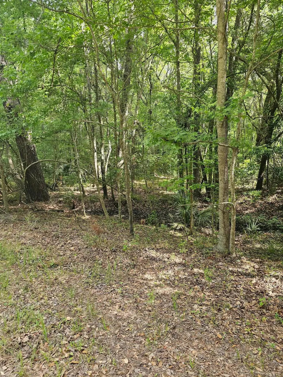 3910 Benjamin Road, Johns Island, SC 29455 - #2