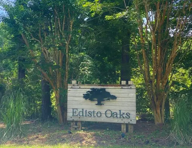 25 Blackbear Road, Edisto Island, SC 29438 - #1