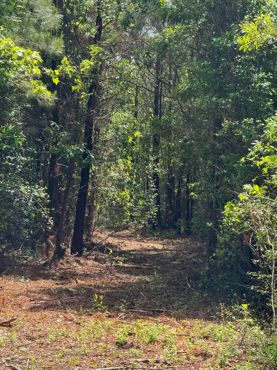 1-F Mt Carmel Road, Walterboro, SC 29488 - Image #3