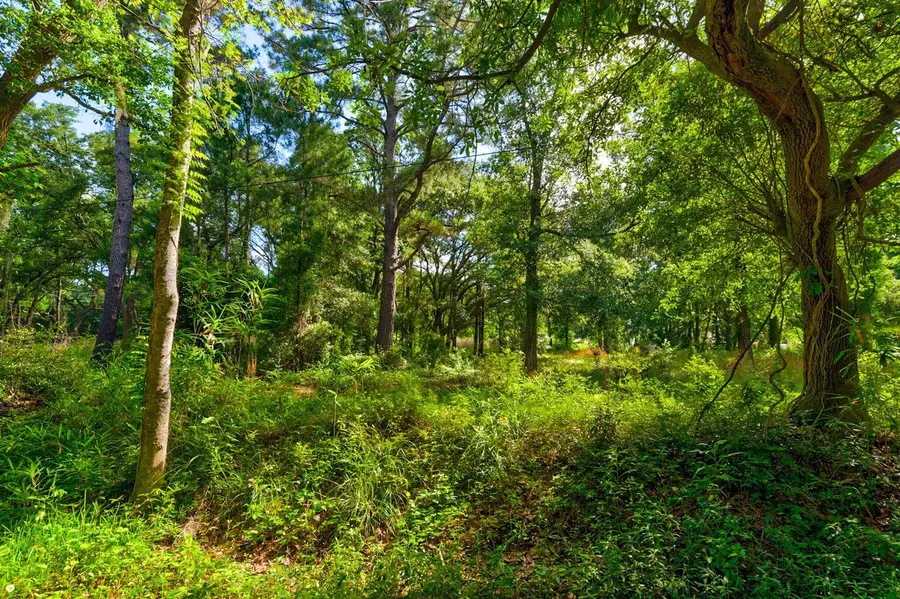 000 Arsburn Road, James Island, SC 29412 - Image #3