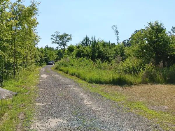 0 Primus Drive Drive, Saint George, SC 29477