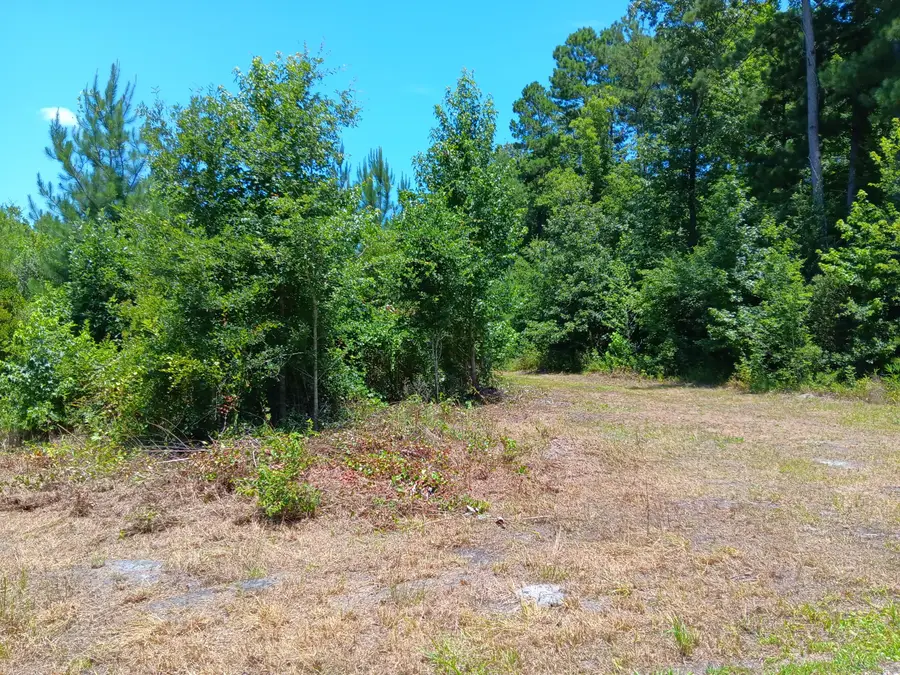 0 Primus Drive Drive, Saint George, SC 29477 - #2