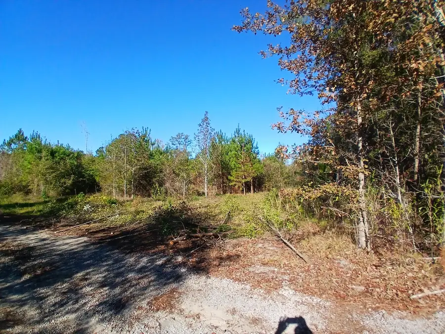 0 Primus Drive Drive, Saint George, SC 29477 - #3