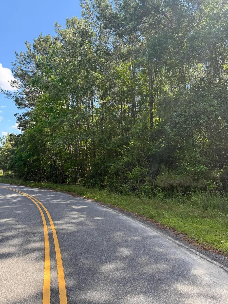 Lot # 01 Clarks Hill Drive, Saint George, SC 29477 - Image #3