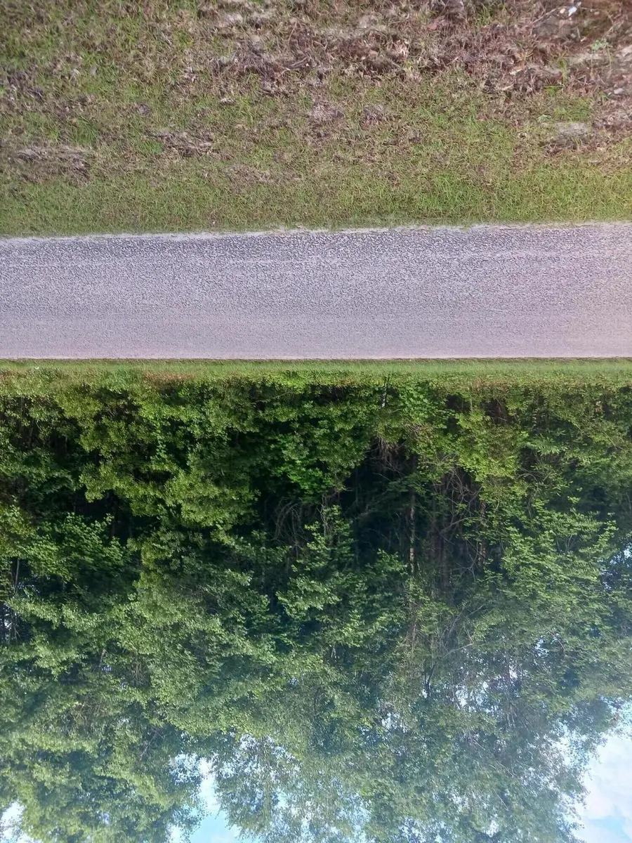 0 Fox Field Road, Walterboro, SC 29488 - Image #2