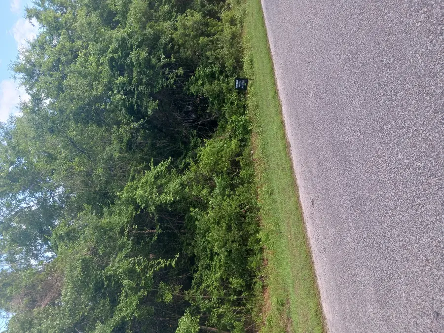 0 Fox Field Road, Walterboro, SC 29488 - Image #3