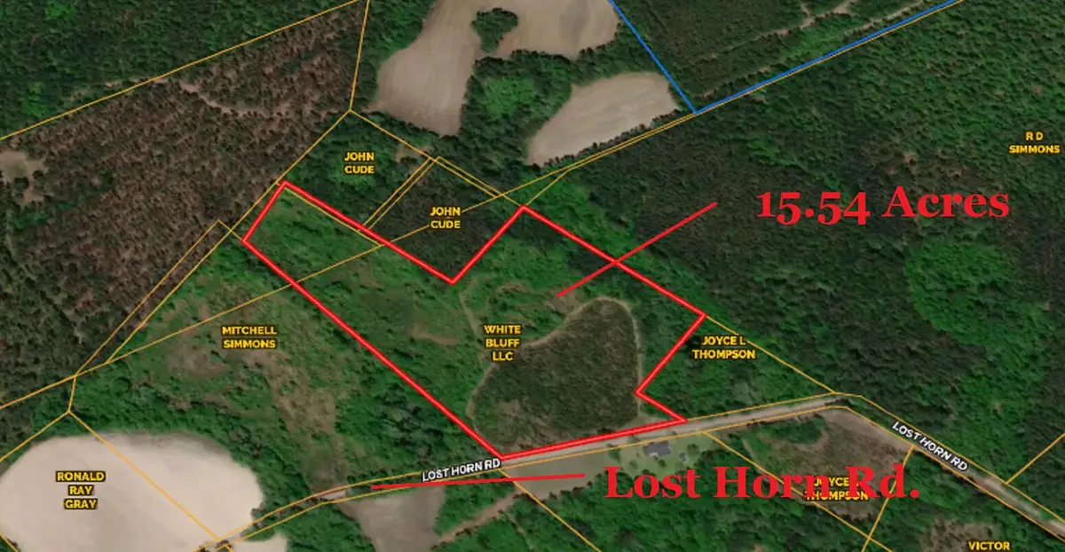 0 Lost Horn Road, Branchville, SC 29432 - Image #1