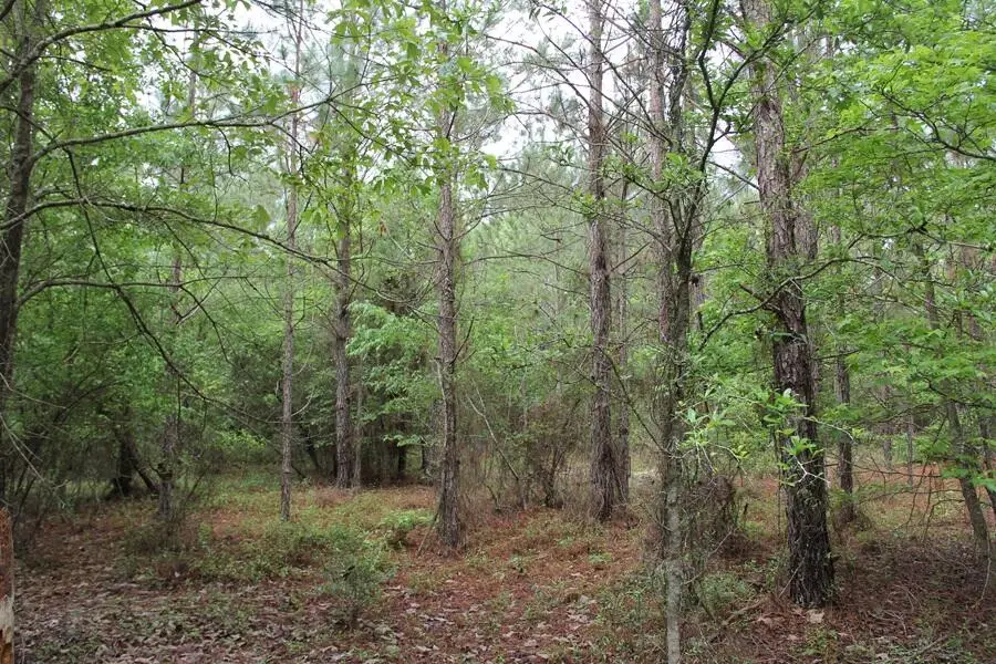 00 Stacey Bridge Rd, Orangeburg, SC 29118 - Image #2