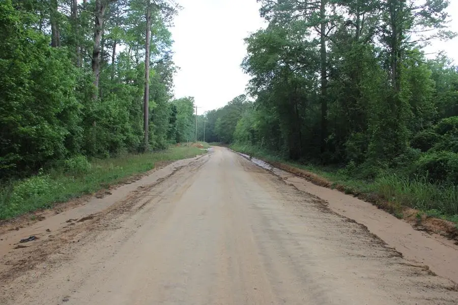 00 Stacey Bridge Rd, Orangeburg, SC 29118 - Image #3