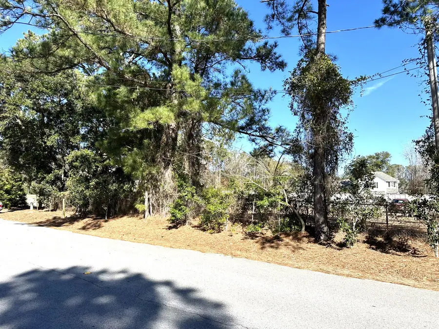 1096 Bee Hive Rd., Awendaw, SC 29429 - #2