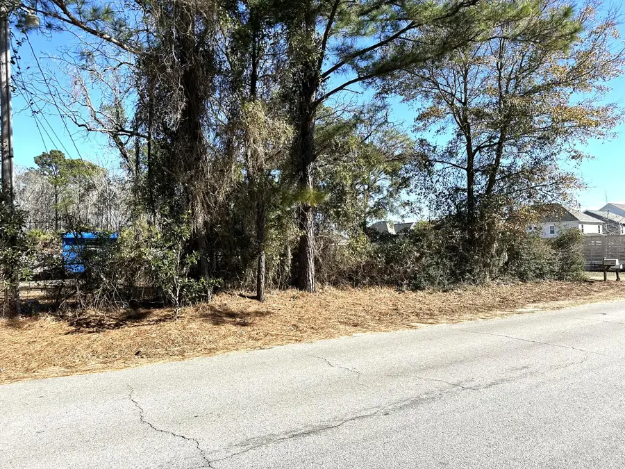 1096 Bee Hive Rd., Awendaw, SC 29429 - #3