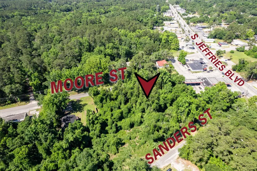 0 Moore Street, Walterboro, SC 29488 - Image #2