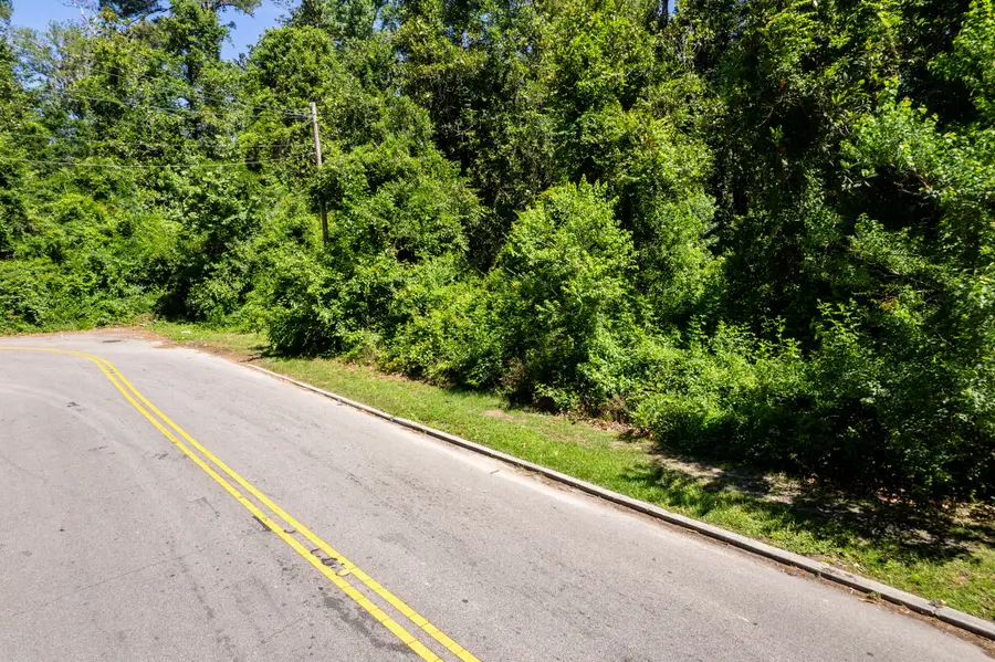 0 Moore Street, Walterboro, SC 29488 - Image #3