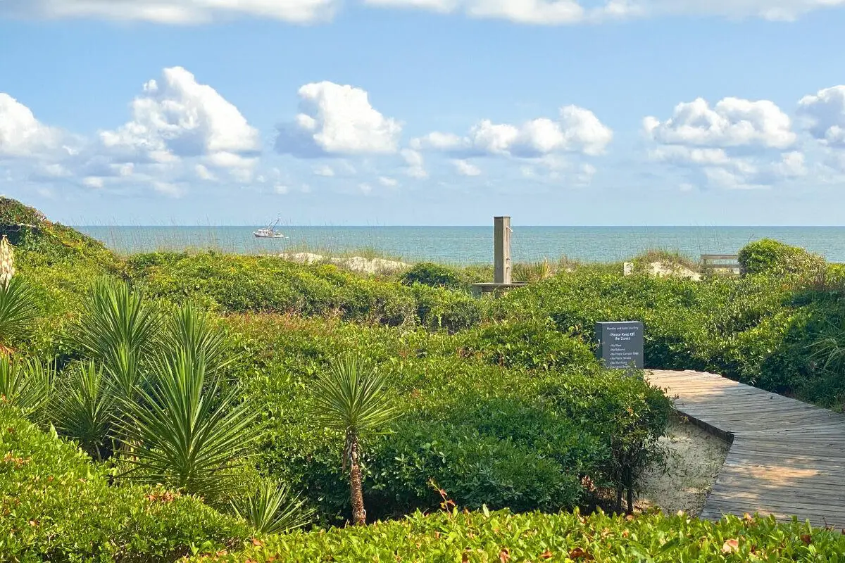 3560 Shipwatch Road, Kiawah Island, SC 29455 - #1