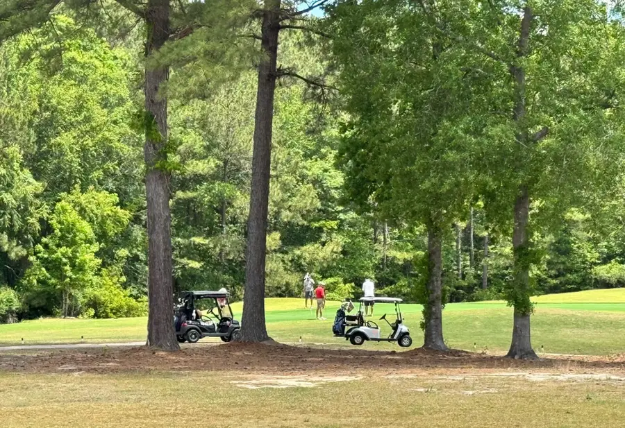 1026 Carolina Way, Manning, SC 29102 - Image #3